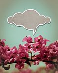 Cloud Paper Above Pink Flower Stock Photo