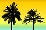 Coconut Tree Silhouette Stock Photo