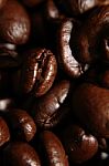 Coffee Bean Stock Photo