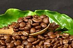 Coffee Beans  On Wooden Spoon Stock Photo