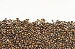 Coffee Beans Stripes Isolated In White Background Stock Photo