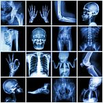 Collection Multiple Part Of Human Stock Photo