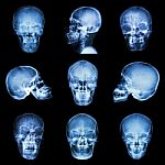 Collection Of Asian Skull Stock Photo