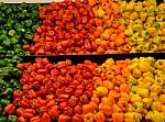 Coloured Peppers Stock Photo