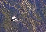 Condor In Flight Stock Photo