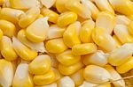 Corn Closeup Stock Photo