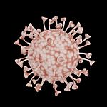 Coronavirus Covid-19 Sars, Sars-cov2, Mers-cov, Virus 2019-ncov Stock Photo