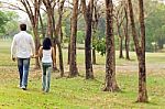 Couples Walk Hand In Hand Stock Photo