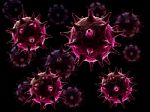 Covid 19 Virus Stock Photo
