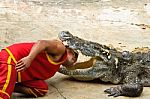 Crocodylidae Or Crocodile Show Stock Photo
