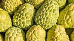 Custard Apple Stock Photo