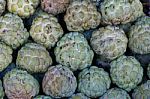 Custard Apple Stock Photo