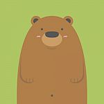 Cute Big Brown Bear Stock Photo
