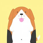 Cute Big Fat Beagle Dog Stock Photo