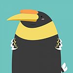 Cute Big Fat Hornbill Bird Stock Photo