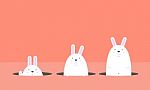 Cute Big Fat White Easter Rabbit Stock Photo