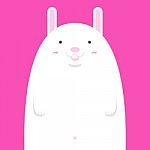 Cute Big Fat White Rabbit Stock Photo