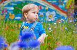 Cute Small Boy At The Field Of Flowers Having Good Time Stock Photo