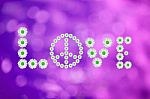 Daisie Peace And Love Stock Photo