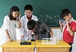 Diverse Elementary Pupils Students Learning About Basic Science Education Stock Photo