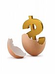 Dollar Sign In Egg Stock Photo