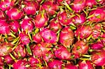 Dragon Fruit Background Stock Photo