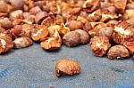 Dried Betel Or Areca Nut Stock Photo