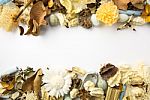 Dried Flowers Frame Stock Photo