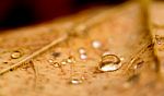 Drop And Droplets Stock Photo