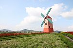 Dutch Windmill On Little Flower Garden Stock Photo