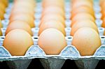 Egg Stock Photo