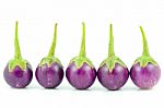 Eggplant Stock Photo