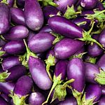 Eggplant Purple Stock Photo