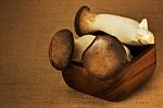 Eryngii Mushroom Stock Photo