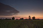 
Evening Sky Before Sunset. Harlequin Beautiful Rice Fields And Stock Photo