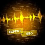 Expert Seo Indicates Search Engine And Sem Stock Photo