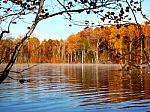 Fall Lake Trees Stock Photo