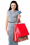Fashionable Female With Shopping Bags Stock Photo