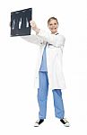 Female Doctor Holding X Ray Report Stock Photo
