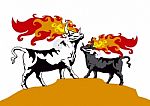 Fighting Bull Stock Photo