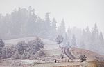 First Snow In Autumn. Snowfall In Mountains Stock Photo