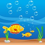 Fish In Water Stock Photo
