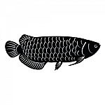 Fish Silhouette Stock Photo