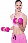 Fit Woman Working Out With Dumbbells Stock Photo