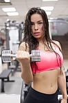 Fitness-female Lifting Weights Stock Photo