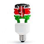 Flag Of  Kenya On Bulb Stock Photo