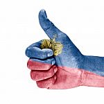Flag Of Liechtenstein On Hand Stock Photo