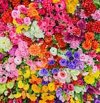 Flowers In A Multicolored Mixed Bouquet Stock Photo