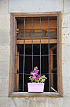 Flowers In Pots On The Balcony Next To Window Stock Photo