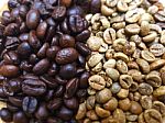 Focus 2 Colors Coffee Bean Stock Photo